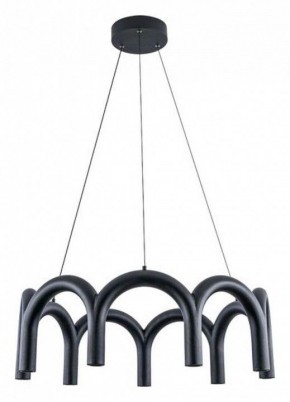 Подвесная люстра Arte Lamp Warhol A3258LM-45BK в Салехарде - salekhard.mebel24.online | фото 2