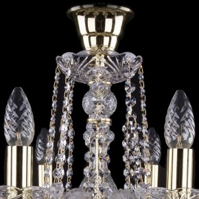 Подвесная люстра Bohemia Ivele Crystal 1402 1402/8/195/G/tube в Салехарде - salekhard.mebel24.online | фото 4