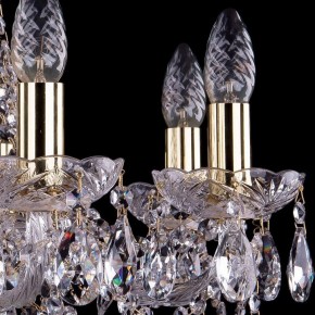 Подвесная люстра Bohemia Ivele Crystal 1413 1413/8/200/G в Салехарде - salekhard.mebel24.online | фото 2