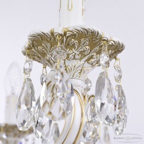 Подвесная люстра Bohemia Ivele Crystal AL7801 AL78101/10/250 A WMG в Салехарде - salekhard.mebel24.online | фото 7