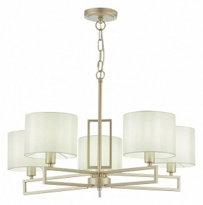 Подвесная люстра EVOLUCE Danae SLE105803-05 в Салехарде - salekhard.mebel24.online | фото 2