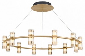 Подвесная люстра Favourite Ampullen 4323-12P в Салехарде - salekhard.mebel24.online | фото 2