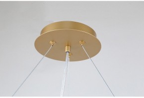 Подвесная люстра Favourite Ginkoa 4080-10P в Салехарде - salekhard.mebel24.online | фото 9