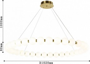 Подвесная люстра Favourite Gubbare 4014-10P в Салехарде - salekhard.mebel24.online | фото 5