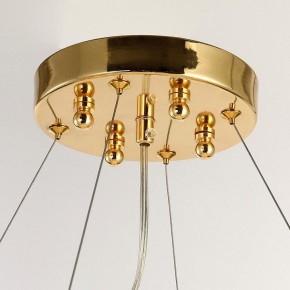 Подвесная люстра Favourite Inventio 2754-10P в Салехарде - salekhard.mebel24.online | фото 6
