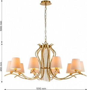 Подвесная люстра Favourite Ketten 2867-10P в Салехарде - salekhard.mebel24.online | фото 4