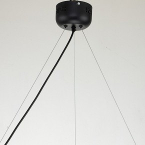 Подвесная люстра Favourite Light point 2997-6P в Салехарде - salekhard.mebel24.online | фото 11