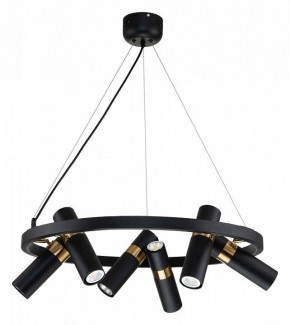 Подвесная люстра Favourite Light point 2997-6P в Салехарде - salekhard.mebel24.online | фото 2