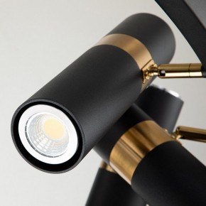 Подвесная люстра Favourite Light point 2997-9P в Салехарде - salekhard.mebel24.online | фото 5