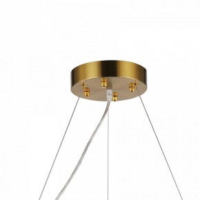 Подвесная люстра Favourite Magnitudo 2206-12P в Салехарде - salekhard.mebel24.online | фото 7