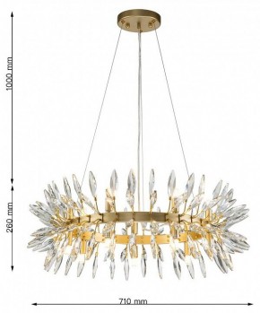 Подвесная люстра Favourite Rays 4058-14P в Салехарде - salekhard.mebel24.online | фото 7