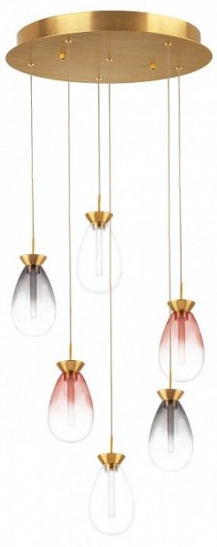 Подвесная люстра Lightstar Colore 805169 в Салехарде - salekhard.mebel24.online | фото