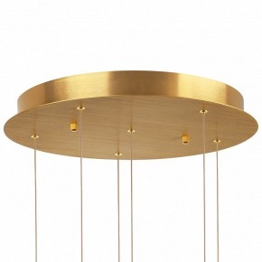 Подвесная люстра Lightstar Colore 805169 в Салехарде - salekhard.mebel24.online | фото 6