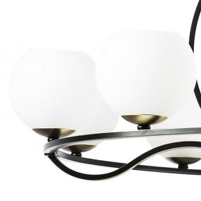 Подвесная люстра Lightstar Enna 762117 в Салехарде - salekhard.mebel24.online | фото 4