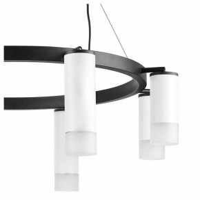 Подвесная люстра Lightstar Rullo LR0188643641 в Салехарде - salekhard.mebel24.online | фото 5