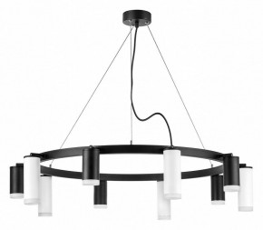 Подвесная люстра Lightstar Rullo LR0203758650 в Салехарде - salekhard.mebel24.online | фото 2