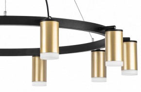 Подвесная люстра Lightstar Rullo LR0204000 в Салехарде - salekhard.mebel24.online | фото 5