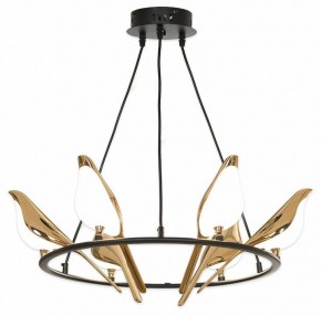 Подвесная люстра Lussole Jasper LSP-8641 в Салехарде - salekhard.mebel24.online | фото 4