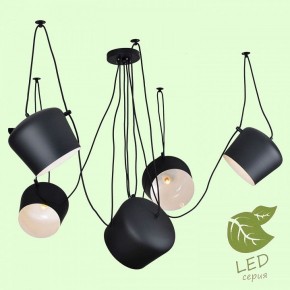 Подвесная люстра Lussole Shirley GRLSP-9919 в Салехарде - salekhard.mebel24.online | фото