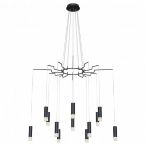 Подвесная люстра Maytoni Davida MOD035PL-12B в Салехарде - salekhard.mebel24.online | фото 2