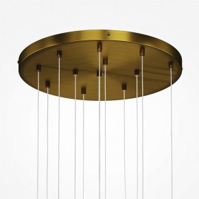 Подвесная люстра Maytoni Frozen MOD254PL-12BS в Салехарде - salekhard.mebel24.online | фото 4