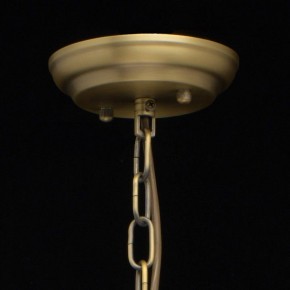 Подвесная люстра MW-Light Альгеро 3 285010703 в Салехарде - salekhard.mebel24.online | фото 14