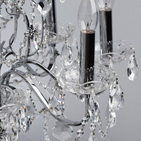 Подвесная люстра MW-Light Каролина 7 367013408 в Салехарде - salekhard.mebel24.online | фото 16