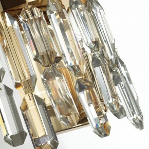 Подвесная люстра Odeon Light Dakisa 4986/12 в Салехарде - salekhard.mebel24.online | фото 8