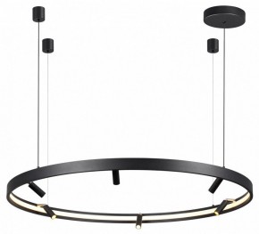 Подвесная люстра Odeon Light Fonda 4317/93L в Салехарде - salekhard.mebel24.online | фото 4