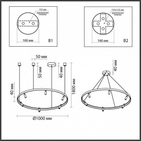 Подвесная люстра Odeon Light Fonda 4317/93L в Салехарде - salekhard.mebel24.online | фото 6