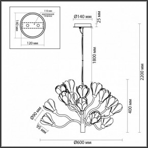 Подвесная люстра Odeon Light Gardi 5090/15 в Салехарде - salekhard.mebel24.online | фото 6