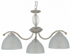 Подвесная люстра Rivoli Valerie Б0060979 в Салехарде - salekhard.mebel24.online | фото