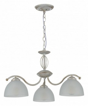 Подвесная люстра Rivoli Valerie Б0060979 в Салехарде - salekhard.mebel24.online | фото 2