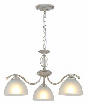 Подвесная люстра Rivoli Valerie Б0060979 в Салехарде - salekhard.mebel24.online | фото 3