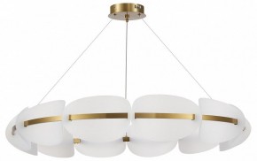 Подвесная люстра ST-Luce Etoile SL1304.203.65 в Салехарде - salekhard.mebel24.online | фото 3