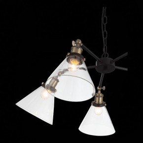 Подвесная люстра ST-Luce Evoluto SL237.413.05 в Салехарде - salekhard.mebel24.online | фото 7