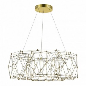 Подвесная люстра ST-Luce Gravetta SL6602.203.48 в Салехарде - salekhard.mebel24.online | фото 3