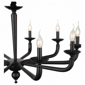 Подвесная люстра ST-Luce SL1114 SL1114.403.10 в Салехарде - salekhard.mebel24.online | фото 4