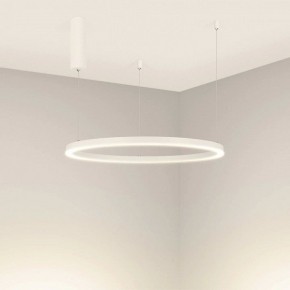 Подвесной светильник Arlight CONGO 046248 в Салехарде - salekhard.mebel24.online | фото 2