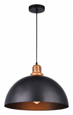 Подвесной светильник Arte Lamp Eurica A4249SP-1BK в Салехарде - salekhard.mebel24.online | фото 2