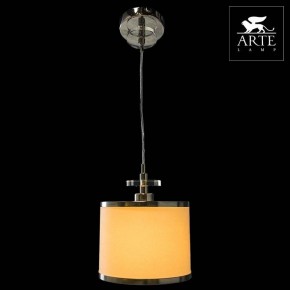 Подвесной светильник Arte Lamp Furore A3990SP-1CC в Салехарде - salekhard.mebel24.online | фото 3