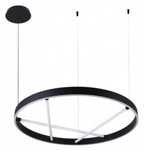 Подвесной светильник Arte Lamp Ricco A1874SP-45BK в Салехарде - salekhard.mebel24.online | фото 2