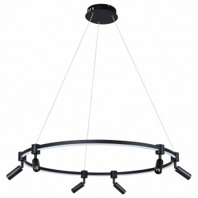 Подвесной светильник Arte Lamp Ring A2186SP-1BK в Салехарде - salekhard.mebel24.online | фото 2