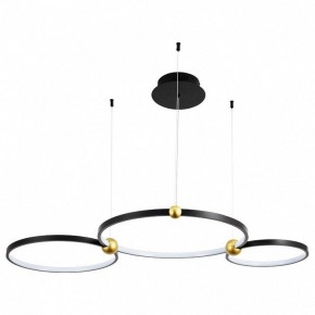 Подвесной светильник Divinare Amadeo 1123/04 SP-75 в Салехарде - salekhard.mebel24.online | фото