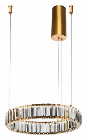 Подвесной светильник Divinare Renata 1135/17 SP-25 в Салехарде - salekhard.mebel24.online | фото 2