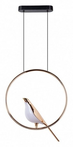Подвесной светильник Divinare Summer 1188/01 SP-9 в Салехарде - salekhard.mebel24.online | фото 2