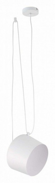 Подвесной светильник EVOLUCE Trieste SLE120653-01 в Салехарде - salekhard.mebel24.online | фото 2