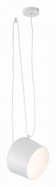 Подвесной светильник EVOLUCE Trieste SLE120653-01 в Салехарде - salekhard.mebel24.online | фото 3