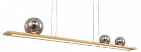 Подвесной светильник Favourite Bilico 4549-3P в Салехарде - salekhard.mebel24.online | фото 2