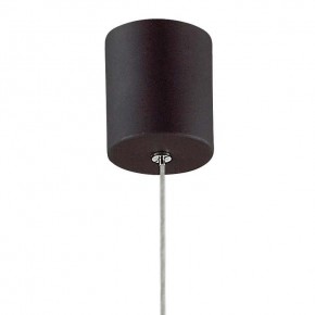 Подвесной светильник Favourite Cornetta 2121-1P в Салехарде - salekhard.mebel24.online | фото 4